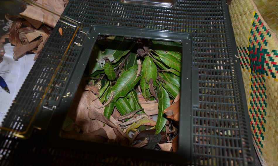 2016-6-3-137foto 10.JPG